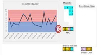 dorado tarde estadisticas