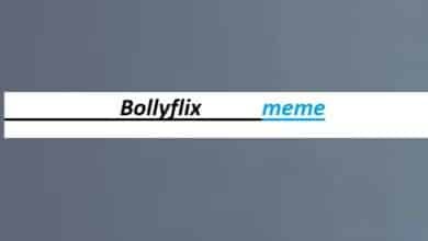 bollyflix meme